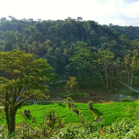 Puri Bunga Resort 乌布 外观 照片