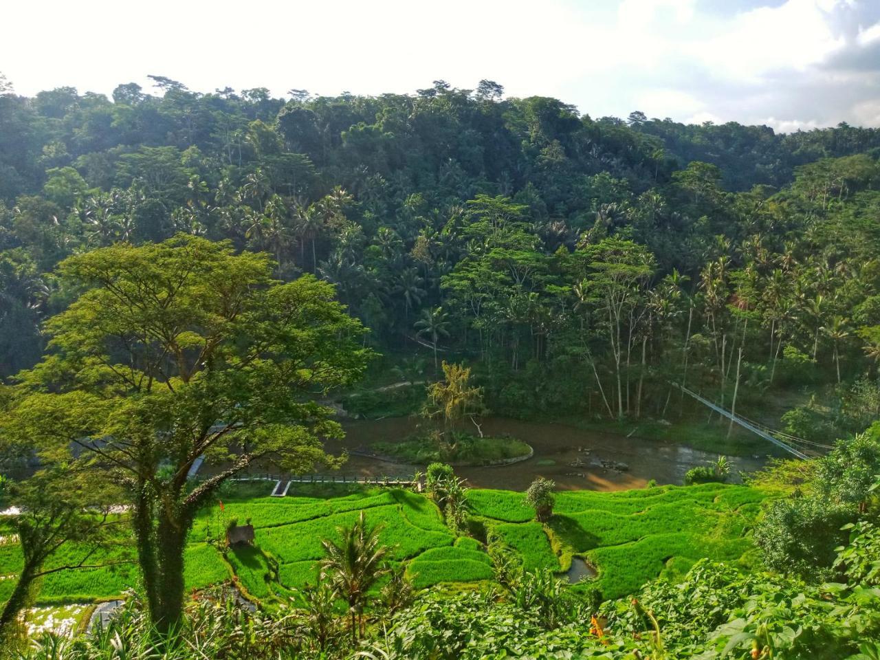 Puri Bunga Resort 乌布 外观 照片
